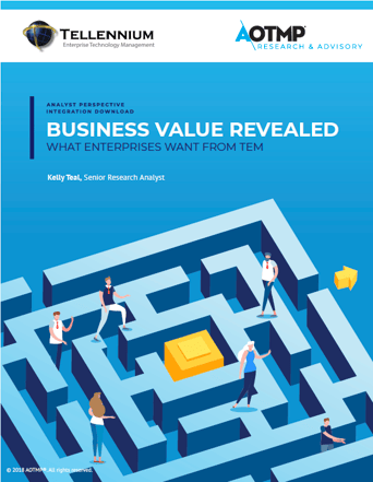 BUSINESS VALUE-WHAT ENTERPRISES WANT FROM TEM